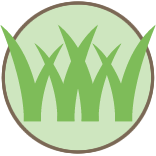 Yard Dethatching Service Pros