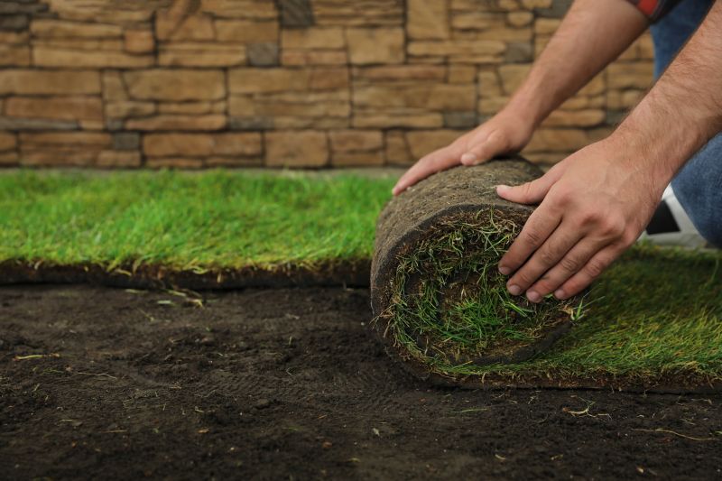 Sod Installation in Rockwall, TX