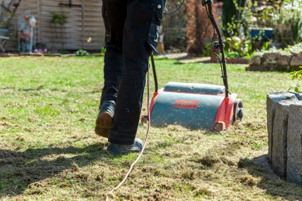 Yard Power Raking