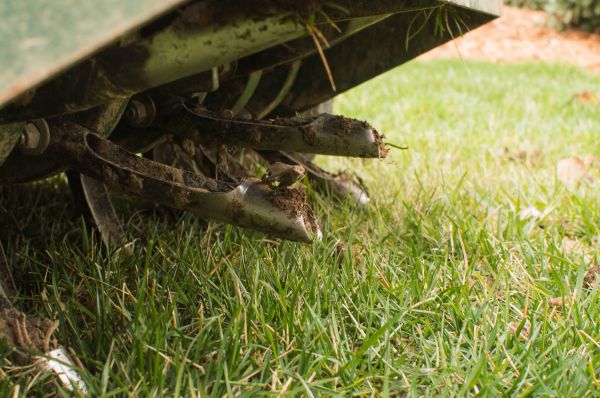 Home Lawn Aerating