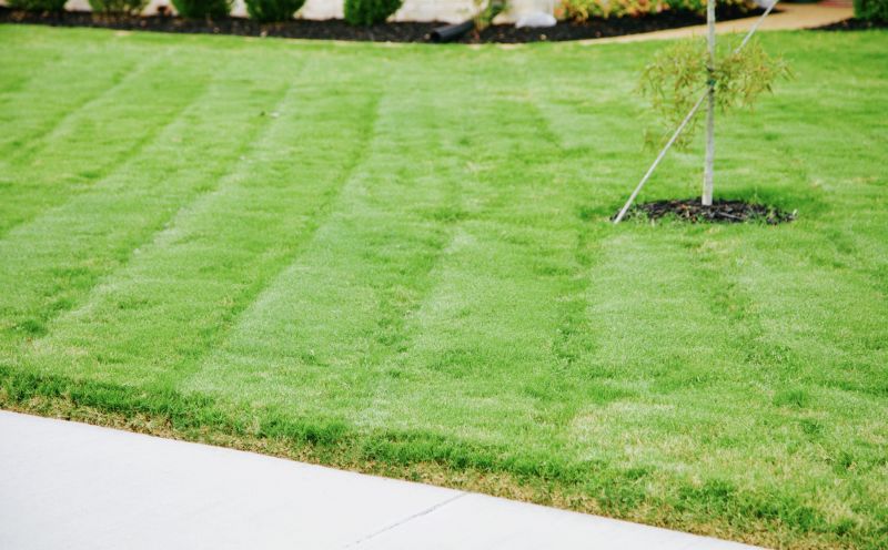 Bermuda Grass Installation in Ventura County, CA