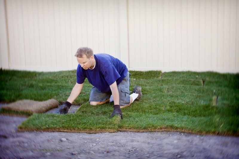Bluegrass Sod Installation in Aiken, SC