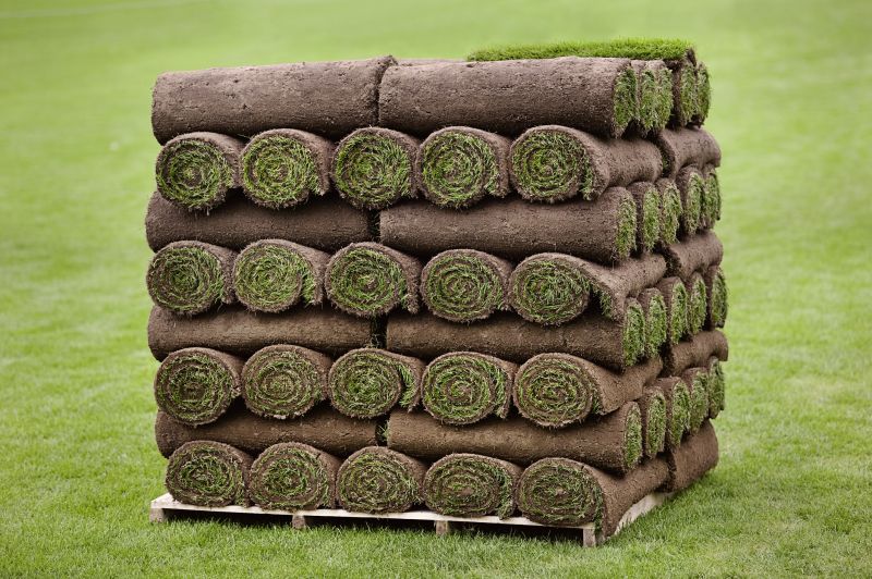 Commercial Sod Installation in Honolulu, HI