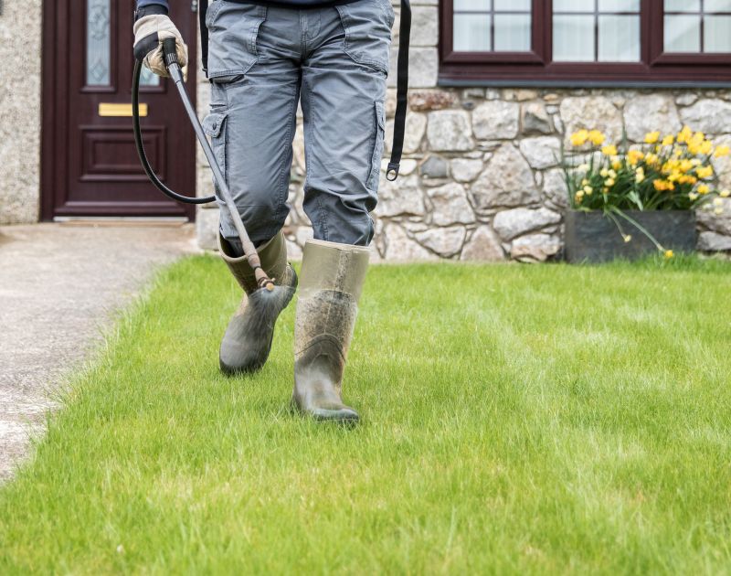 Yard Dethatching Service