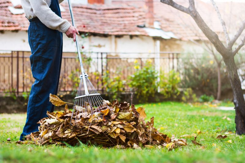 Lawn Clearing with Rakes and Blowers
