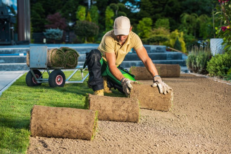 Grass Replacement in Honolulu, HI