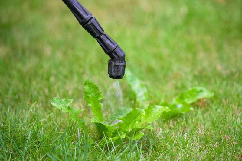 Lawn Herbicide Treatment in Aiken, SC