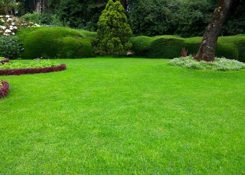 Lawn Replacement in Rockwall, TX