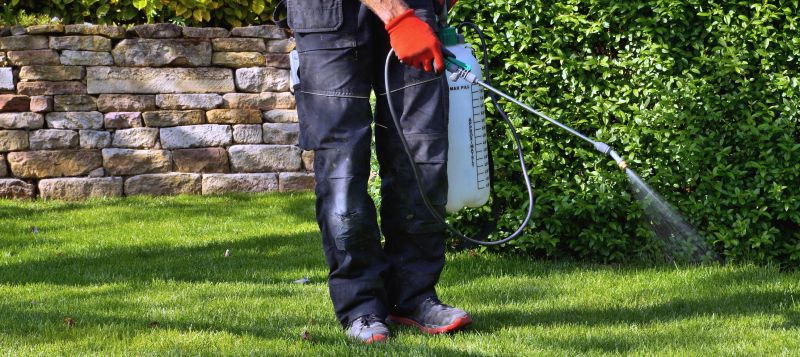 Lawn Weed Control in Rockwall, TX