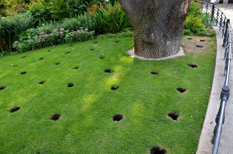 Preparing a Lawn for Aeration