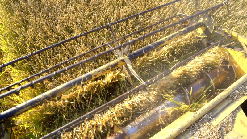 Lawn Aeration Equipment in Use