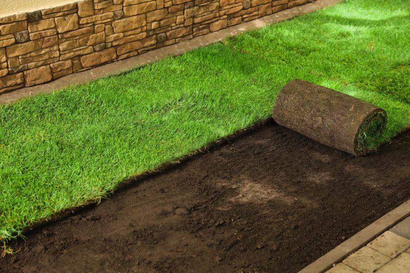 Sod Replacement in Honolulu, HI