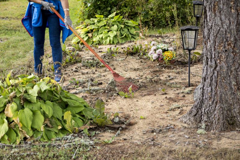 Scheduling Dethatching