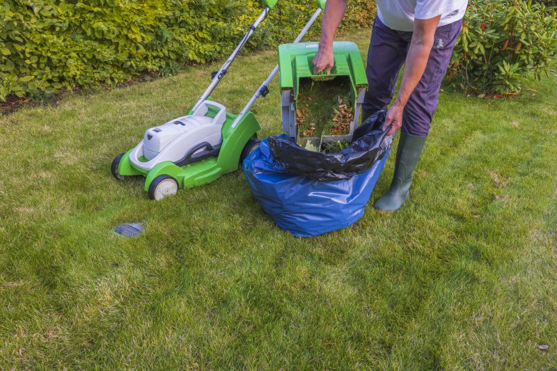 Lawn Maintenance Tips