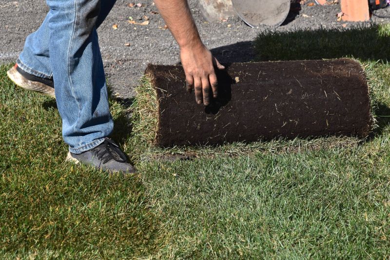 Yard Sod Replacement in Rockwall, TX