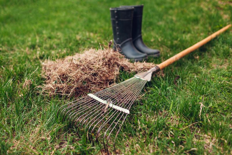 Yard Dethatching Service
